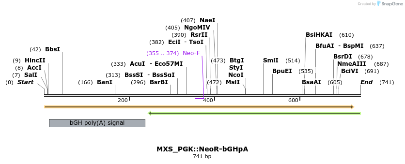 104761_map