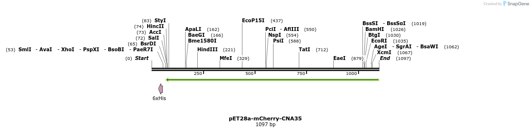 104763_map