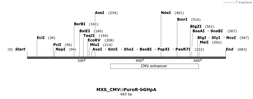 104766_map