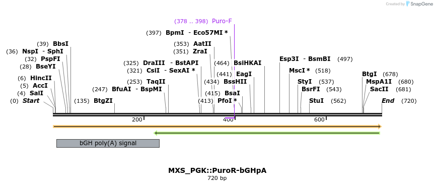 104771_map