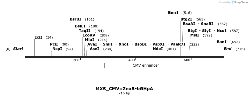 104772_map