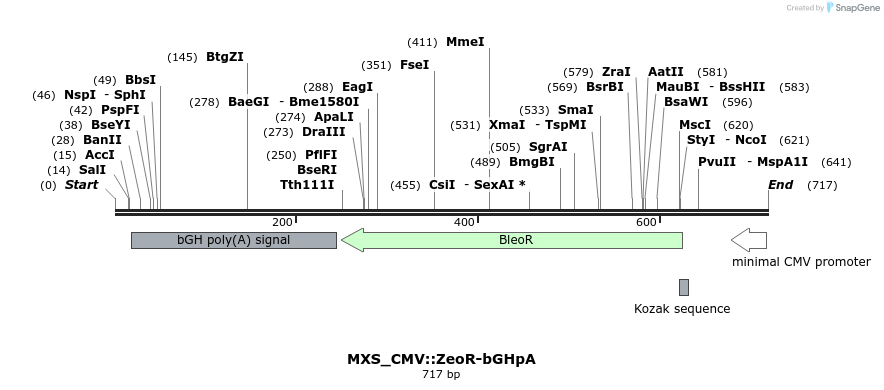 104776_map