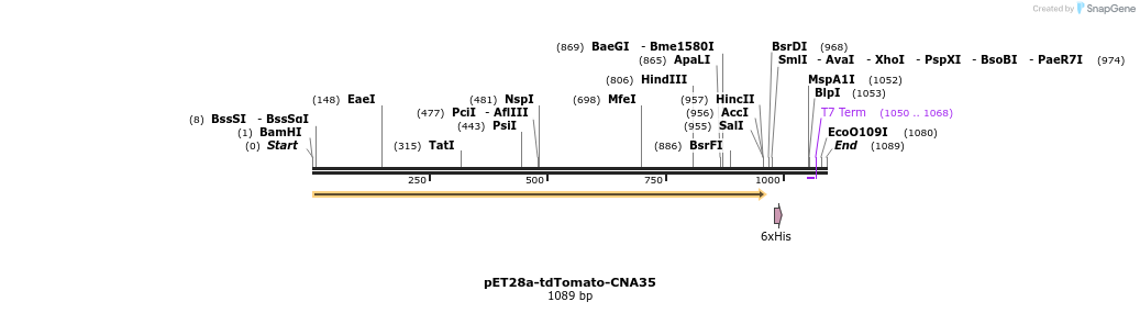 104778_map