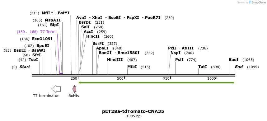 104780_map