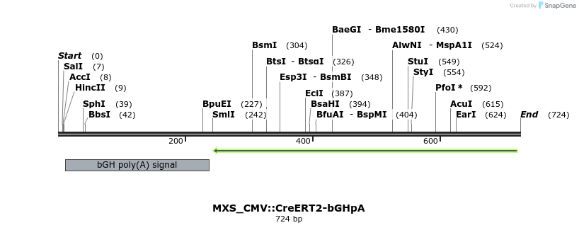 104786_map