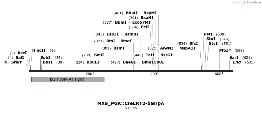 104790_map