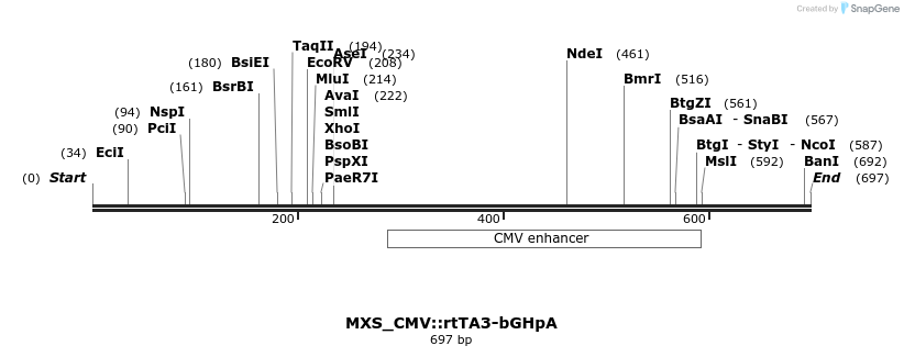 104792_map