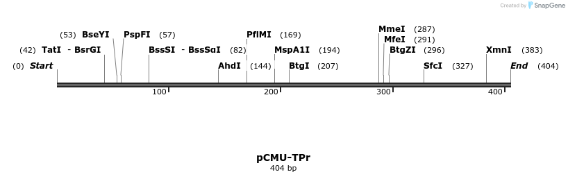 104799_map