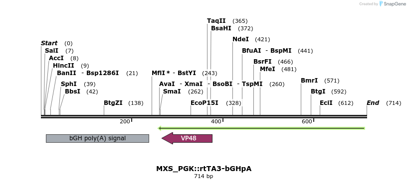 104802_map