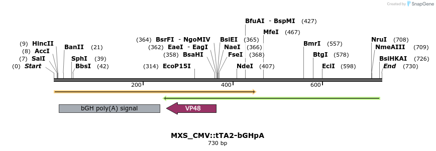 104805_map