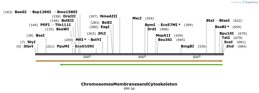 104819_map