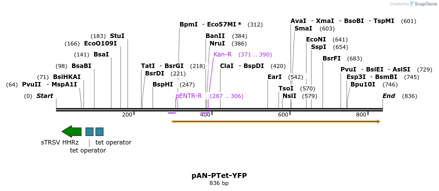 104825_map