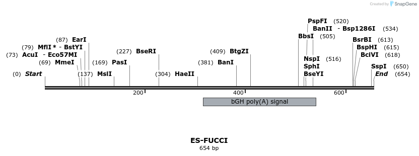 104826_map