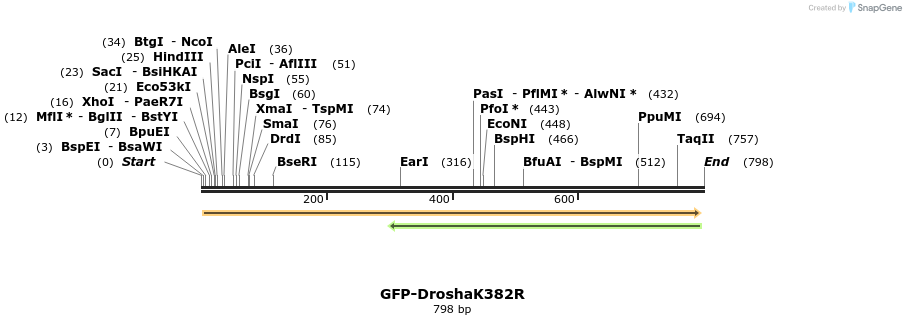 104827_map