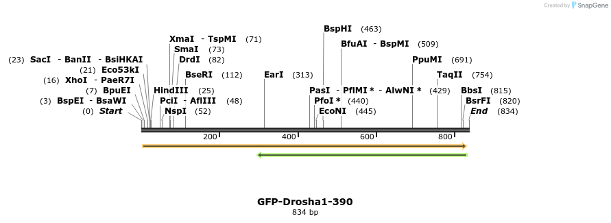 104833_map