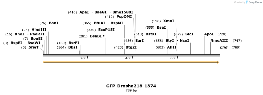 104836_map
