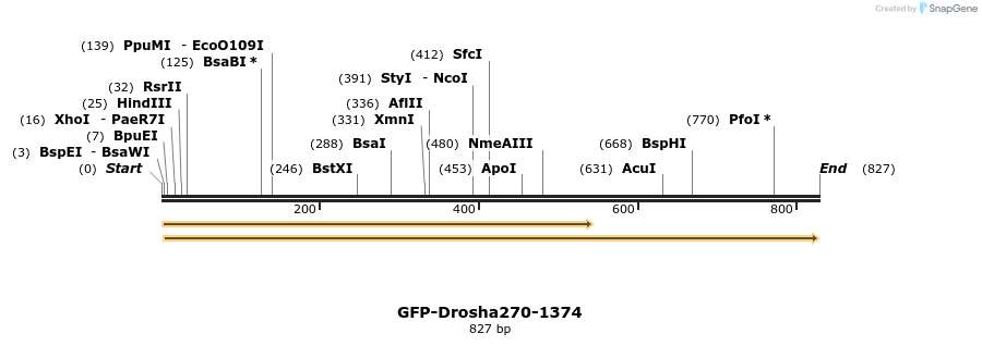 104838_map