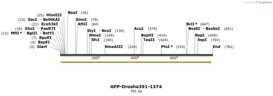 104840_map