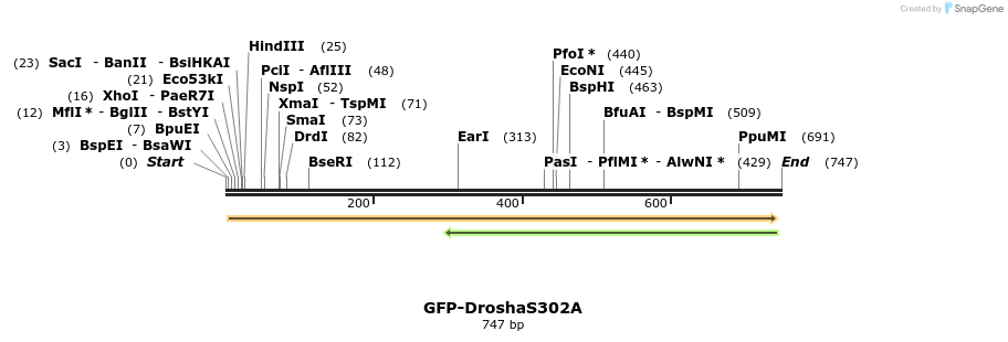 104845_map