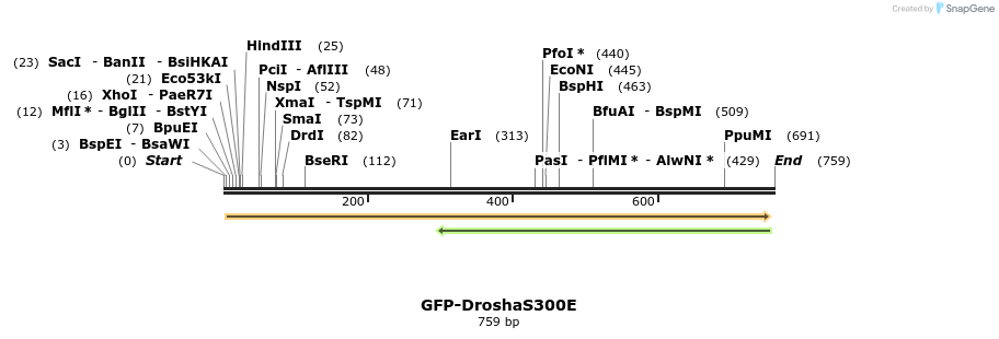 104847_map