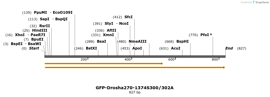 104867_map