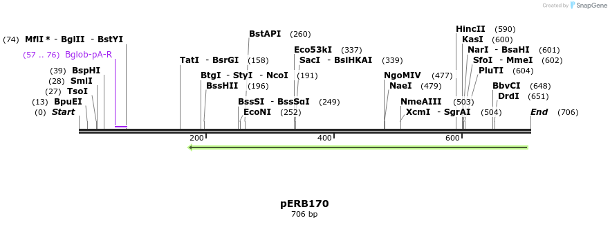 104868_map