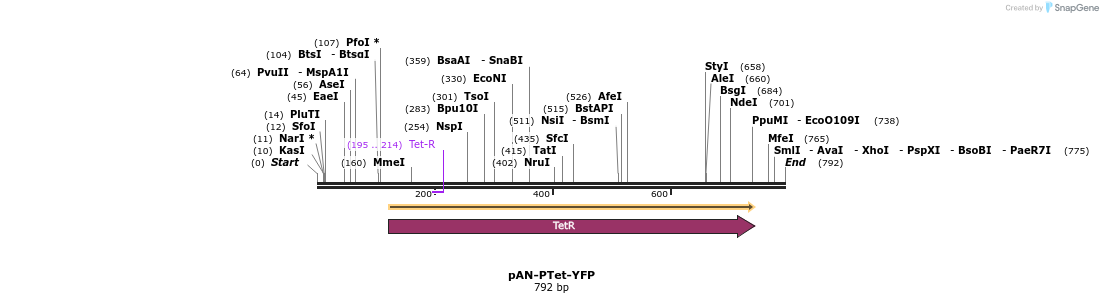 104871_map