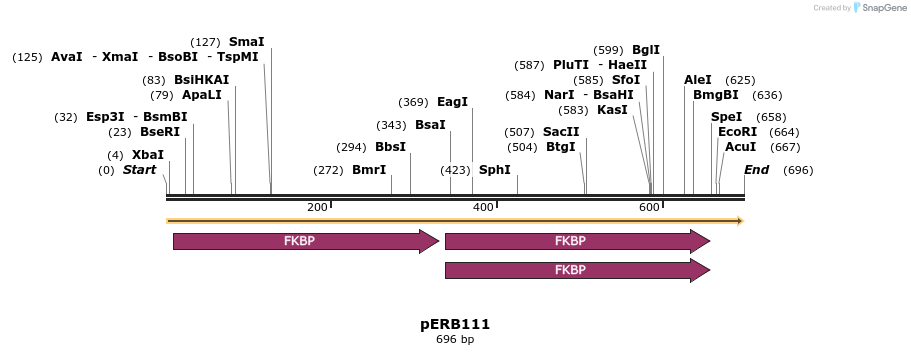 104873_map