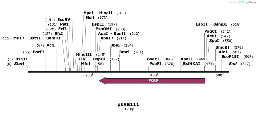 104875_map