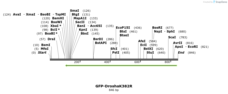 104881_map