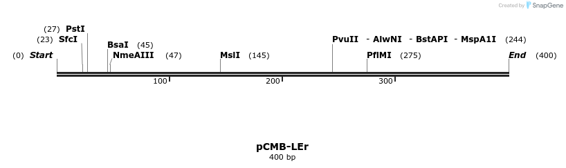104889_map