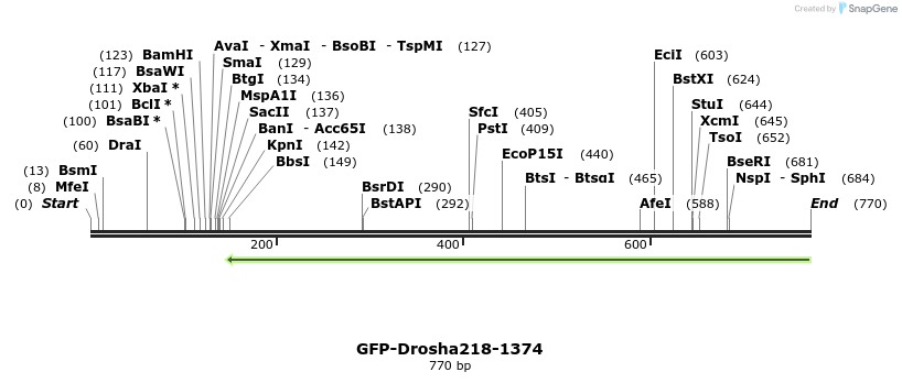 104895_map