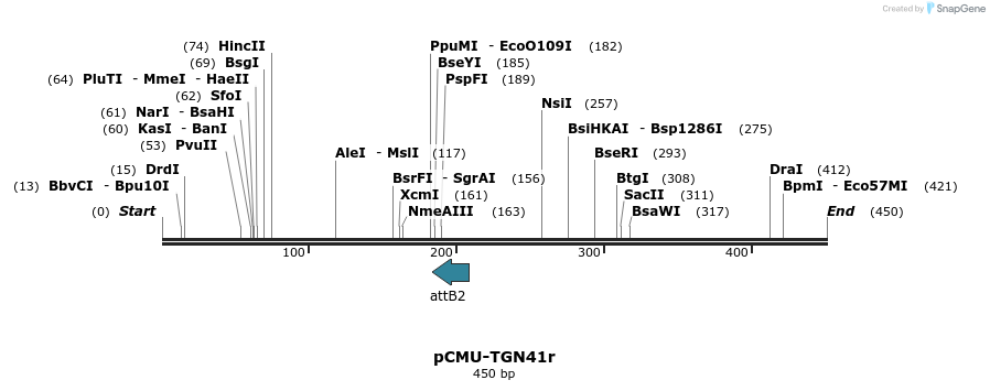 104897_map