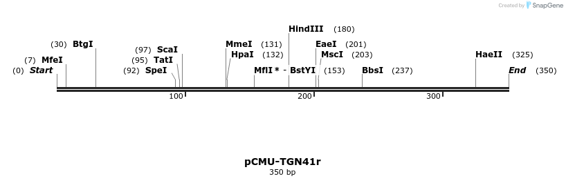 104907_map