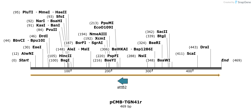 104916_map