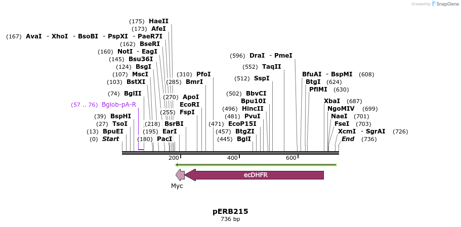 104919_map
