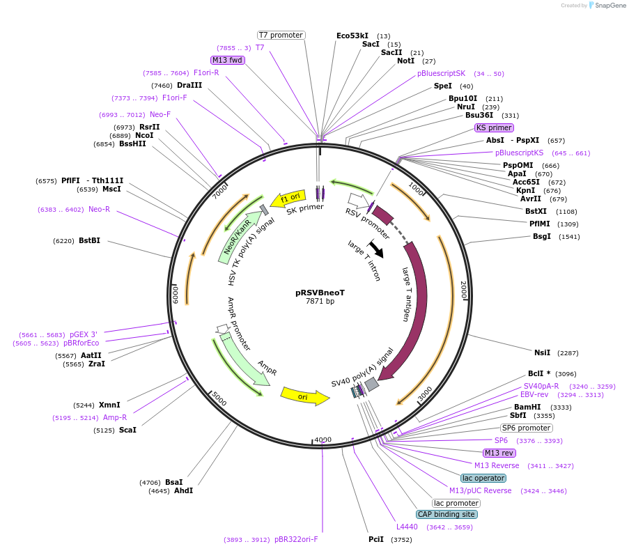10492_map