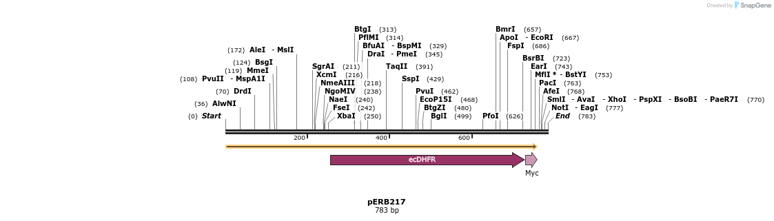 104924_map