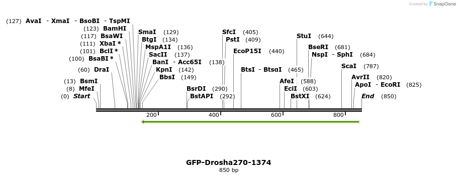 104925_map