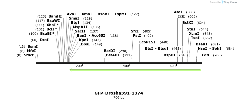 104932_map