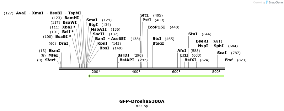 104934_map
