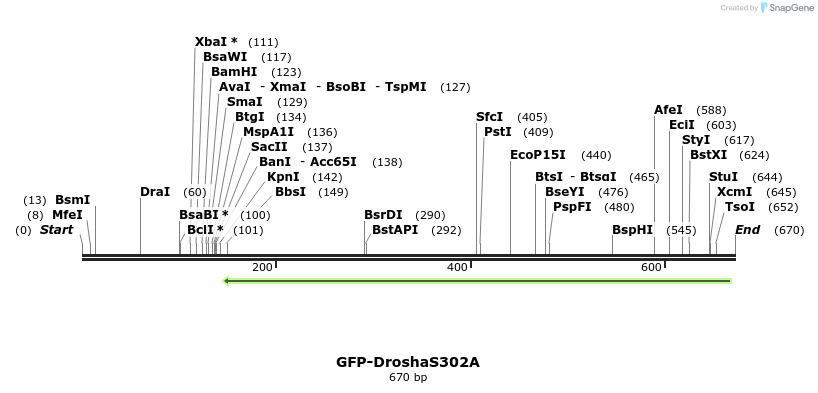 104936_map