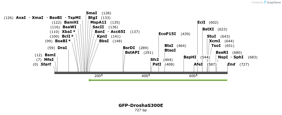 104940_map