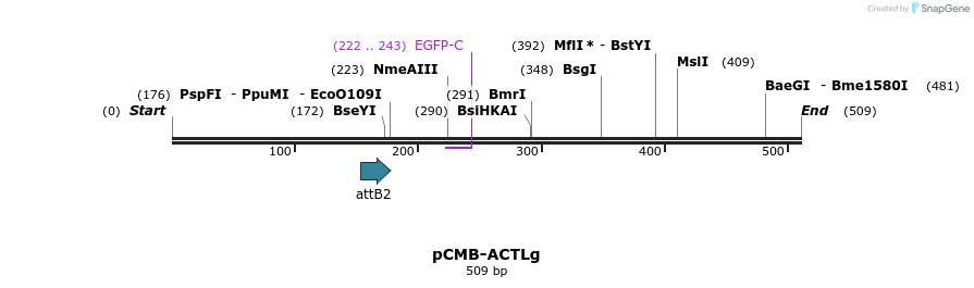 104941_map