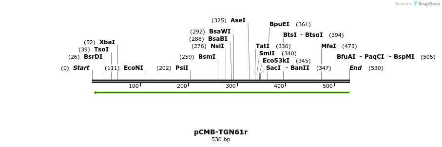 104945_map