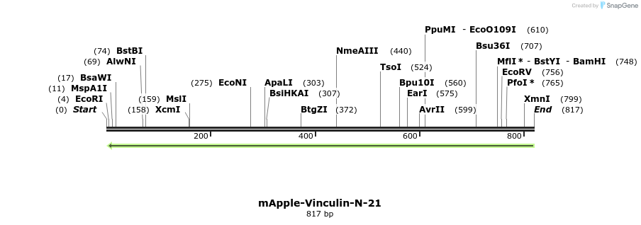 104947_map