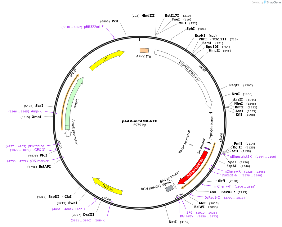 10495_map