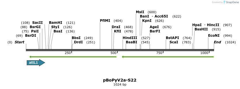 104951_map
