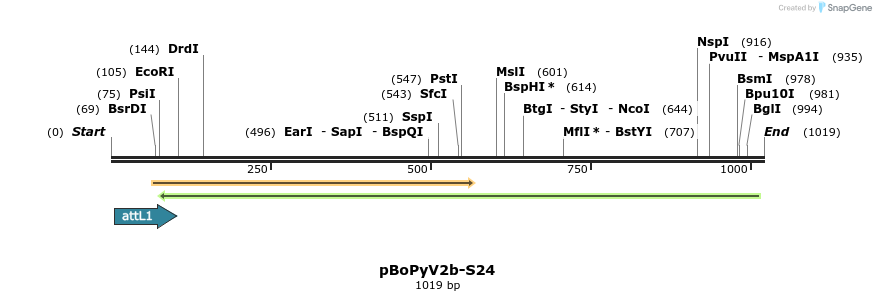 104952_map