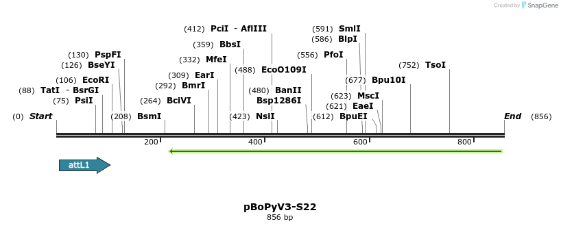 104954_map